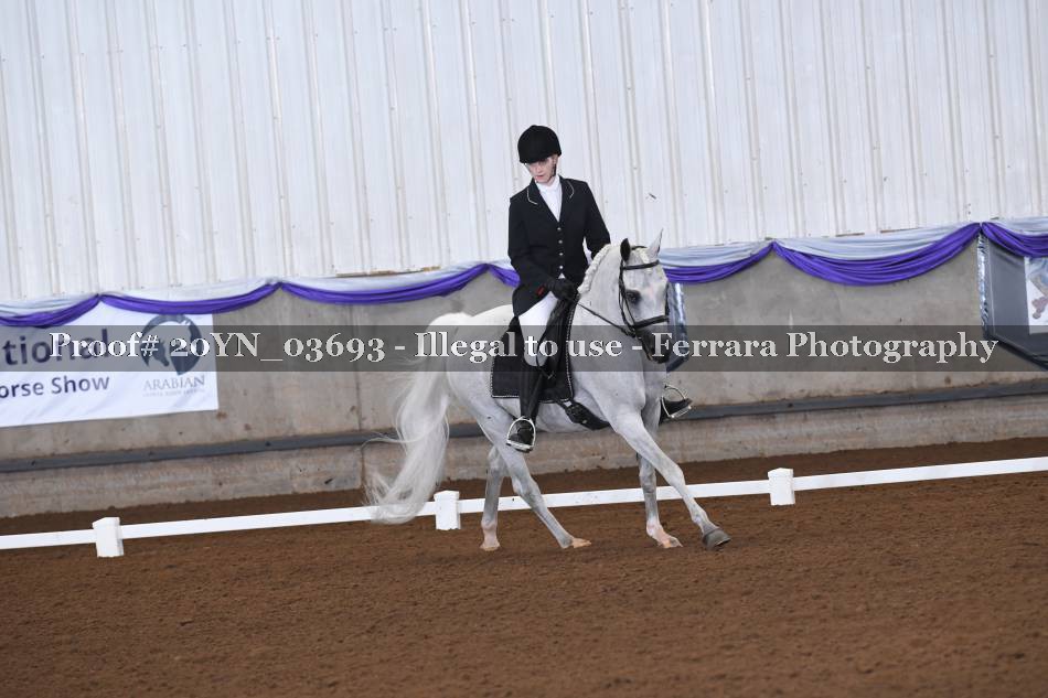 Proof 20YN_03693