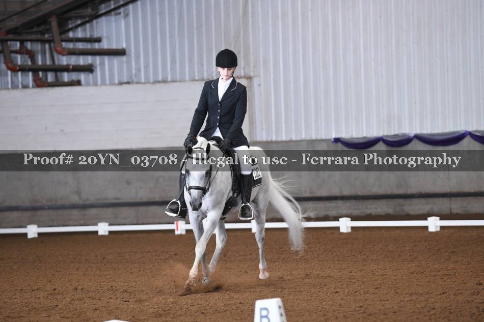 Proof 20YN_03708