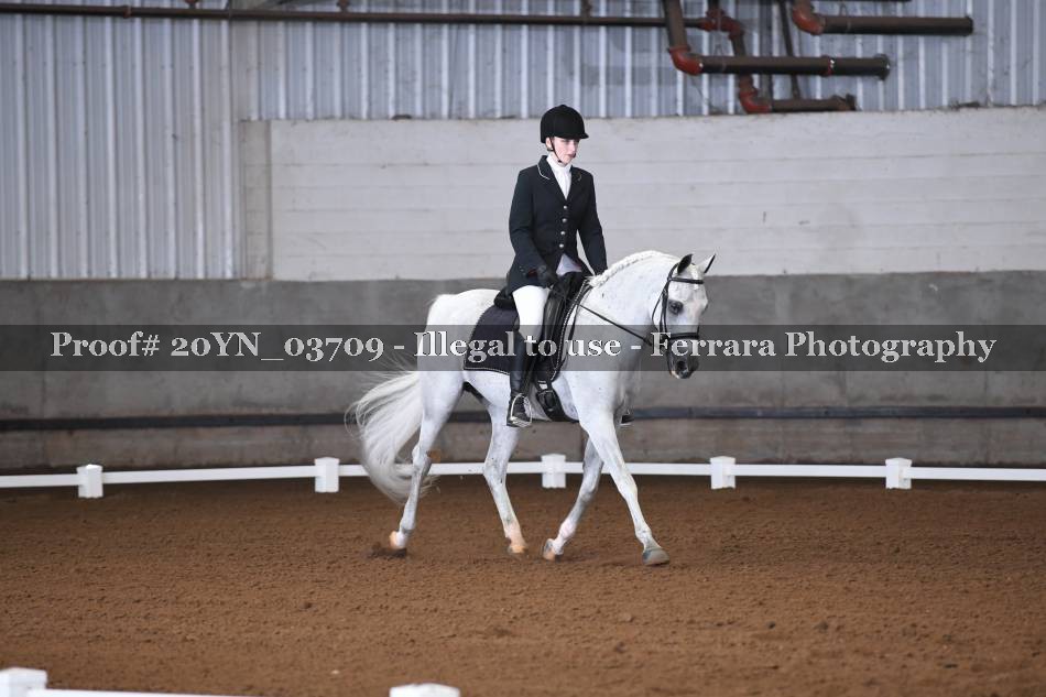 Proof 20YN_03709