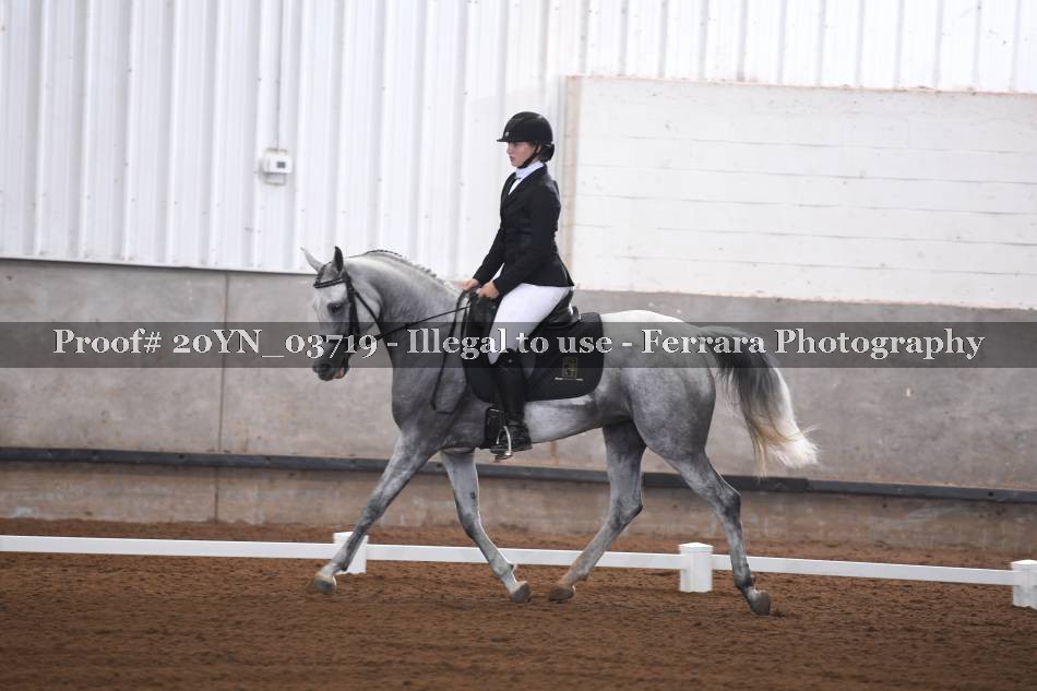 Proof 20YN_03719