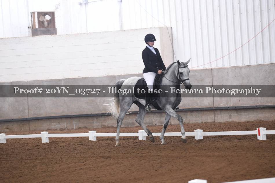 Proof 20YN_03727