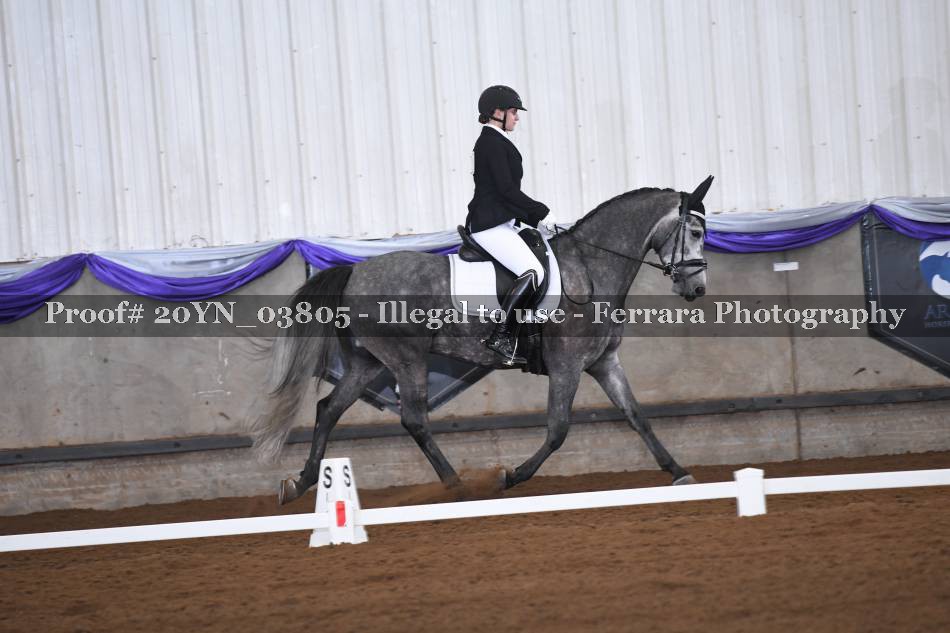 Proof 20YN_03805