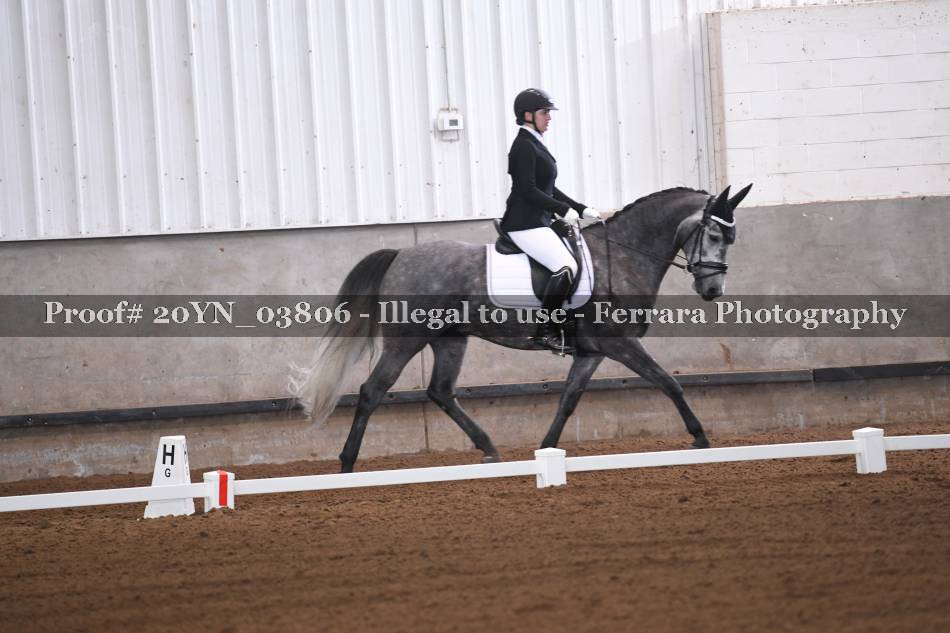 Proof 20YN_03806