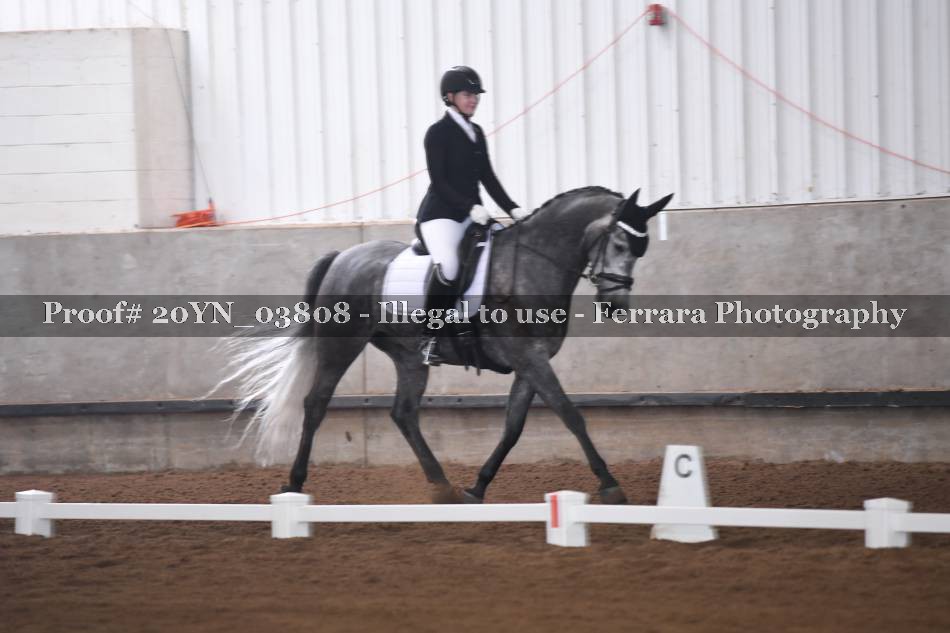 Proof 20YN_03808