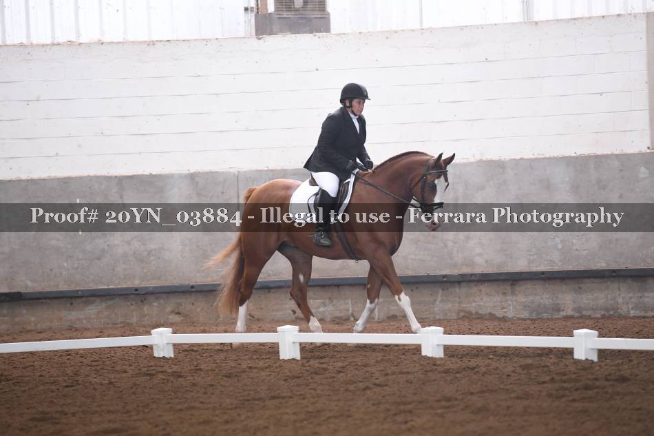 Proof 20YN_03884