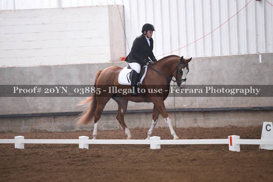 Proof 20YN_03885
