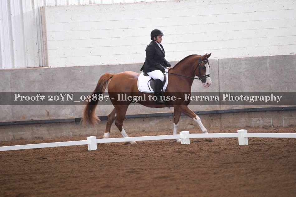 Proof 20YN_03887