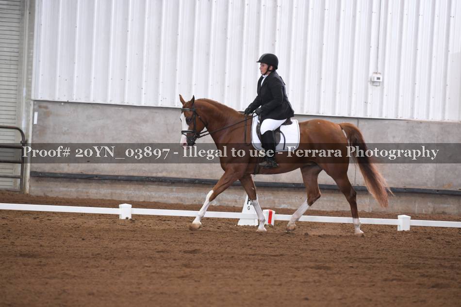 Proof 20YN_03897