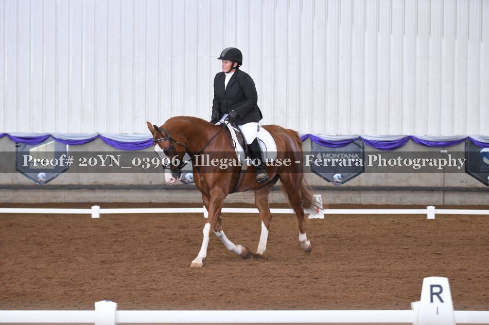 Proof 20YN_03906