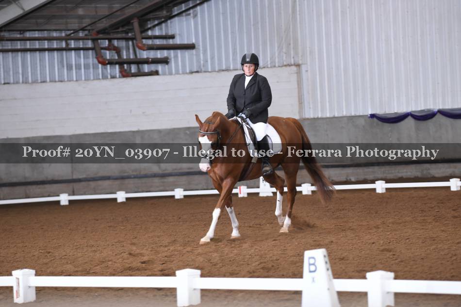 Proof 20YN_03907
