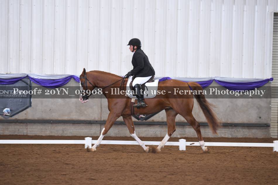 Proof 20YN_03908