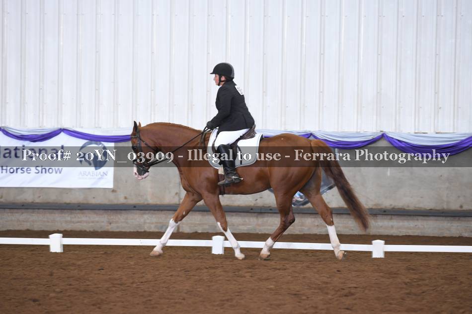 Proof 20YN_03909