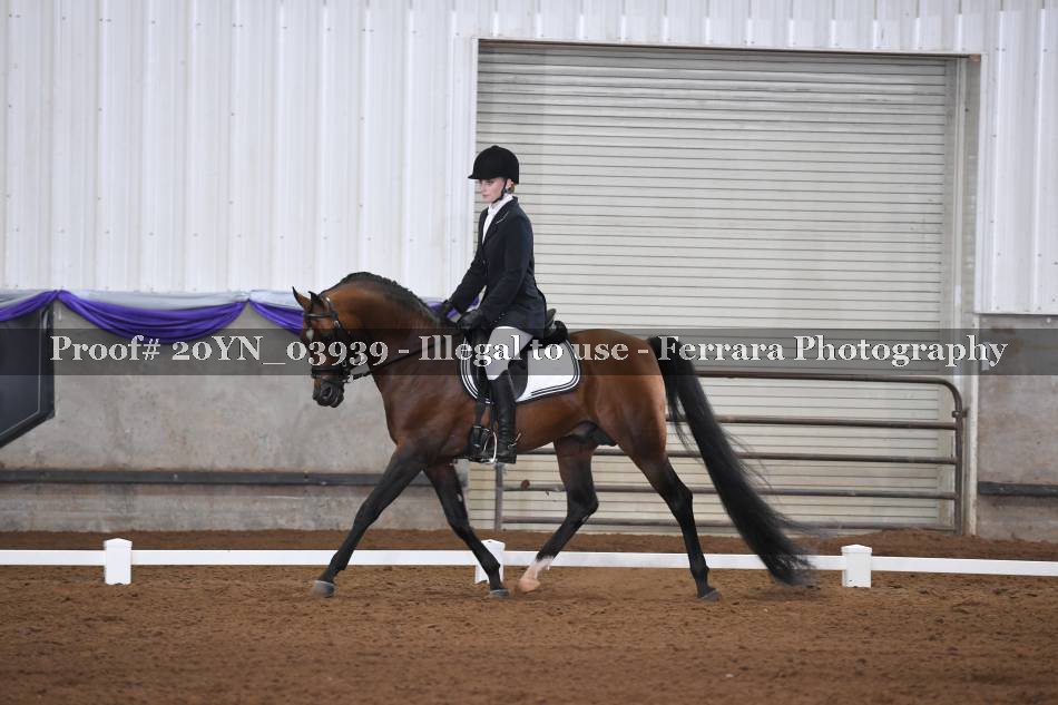 Proof 20YN_03939