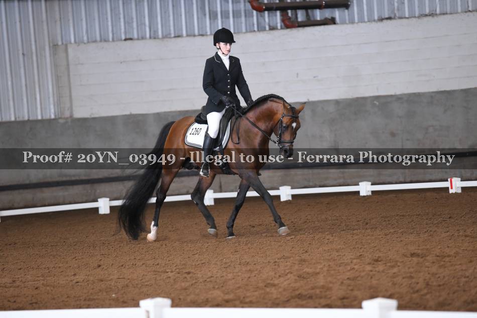 Proof 20YN_03949