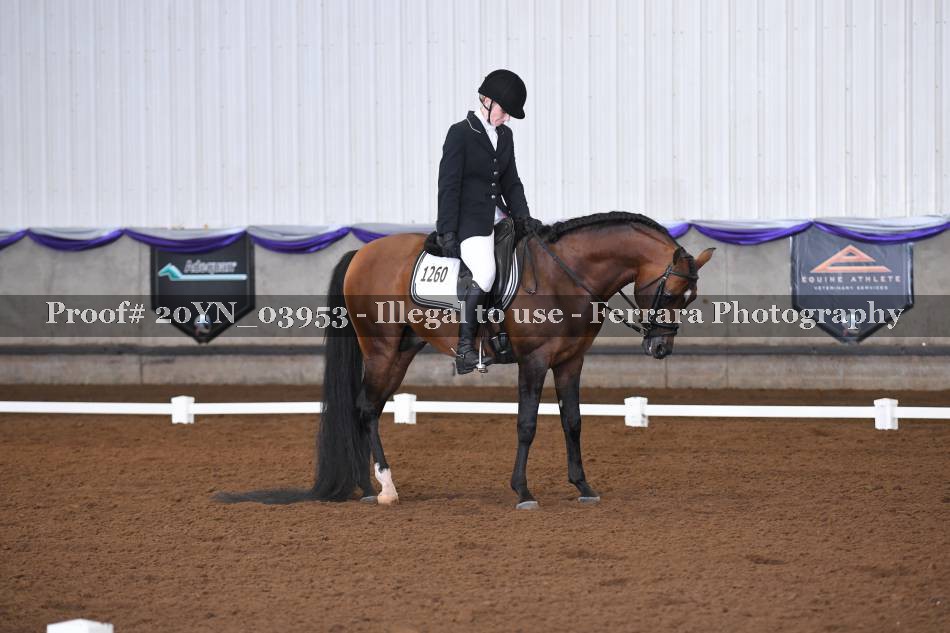 Proof 20YN_03953