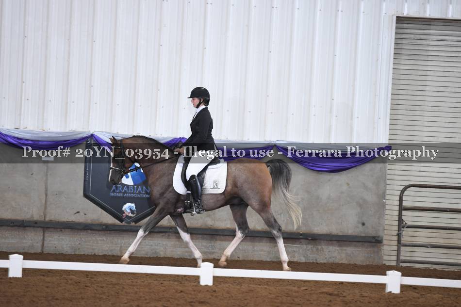 Proof 20YN_03954