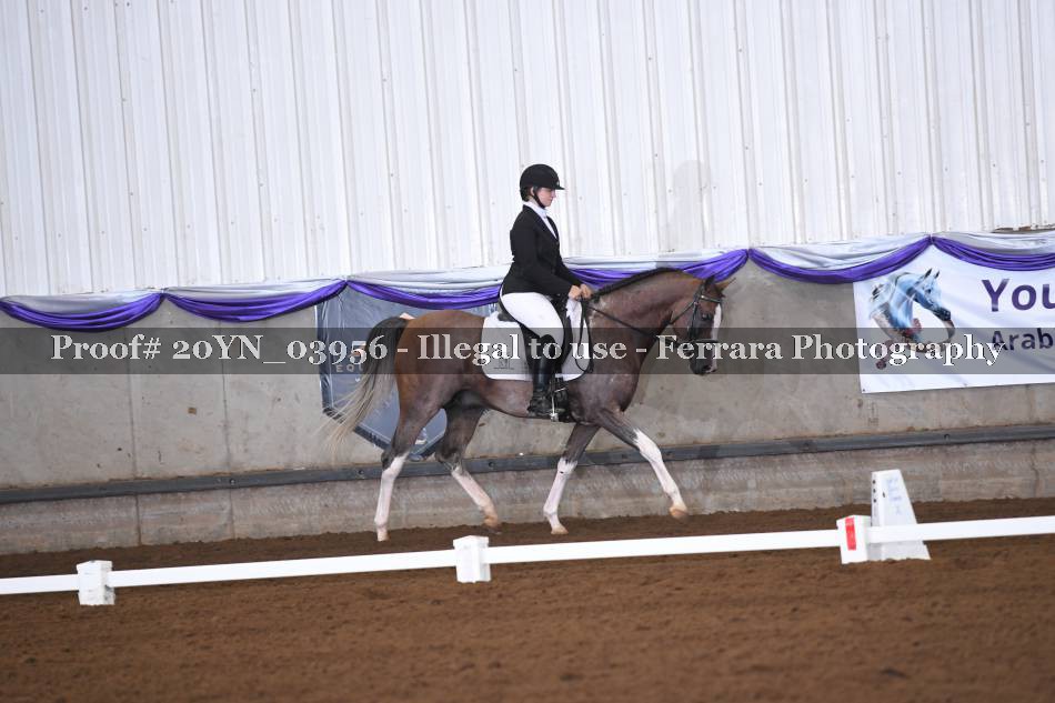 Proof 20YN_03956