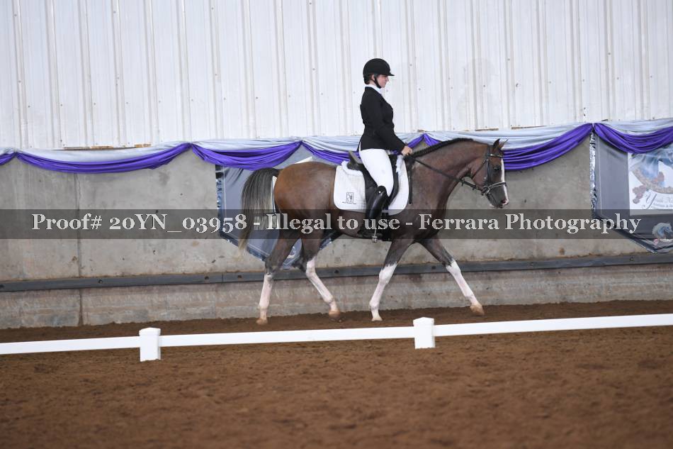 Proof 20YN_03958