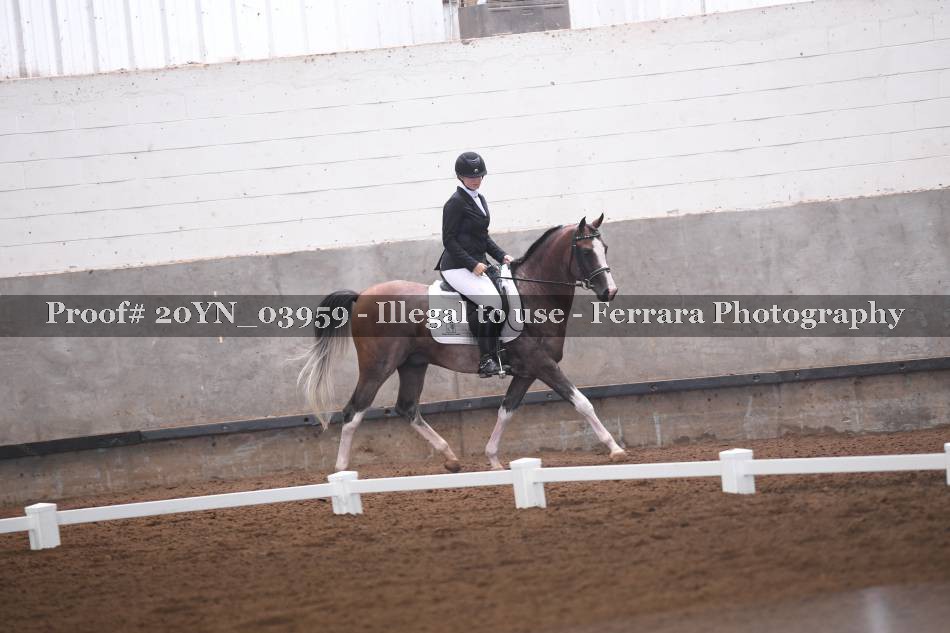 Proof 20YN_03959