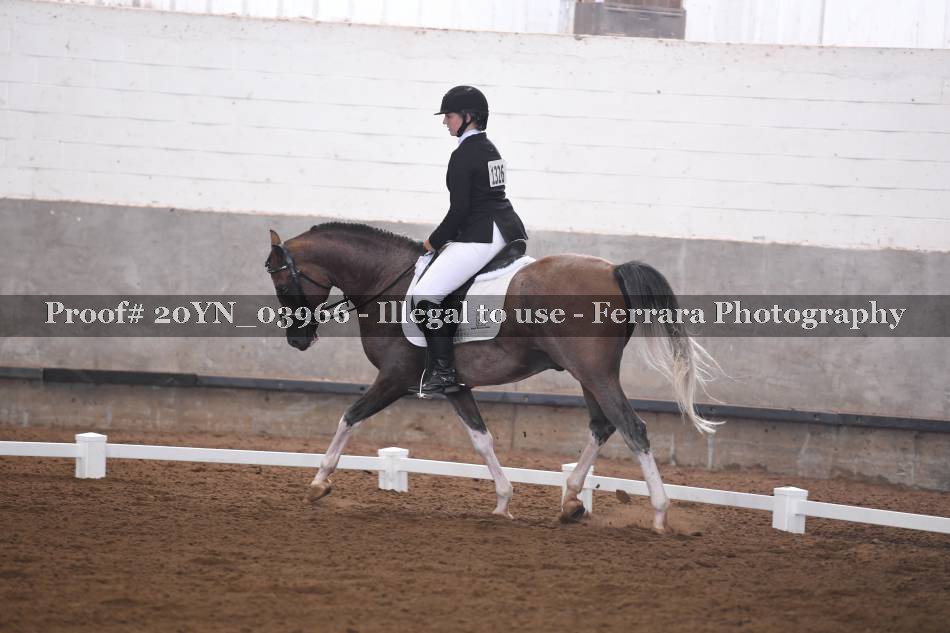 Proof 20YN_03966