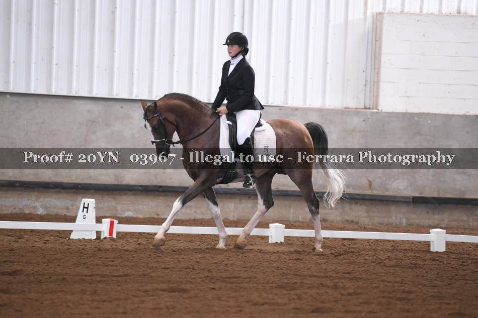 Proof 20YN_03967