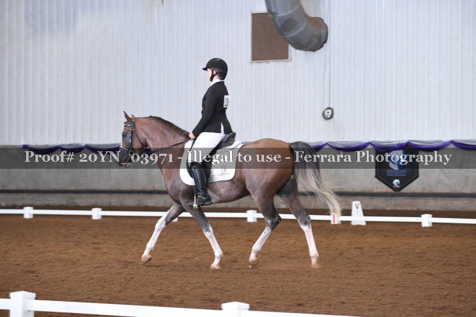 Proof 20YN_03971