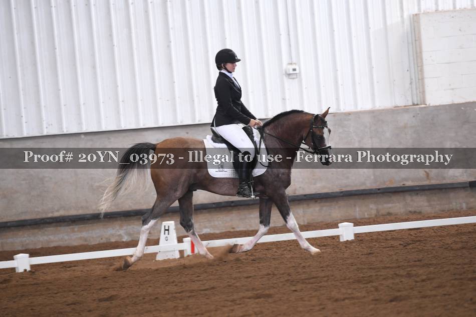 Proof 20YN_03973