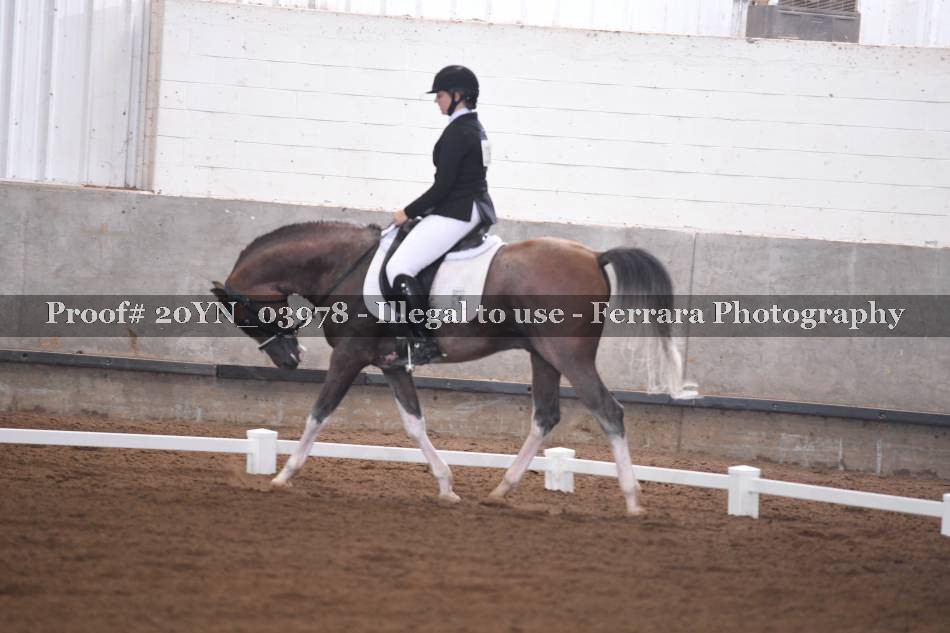 Proof 20YN_03978