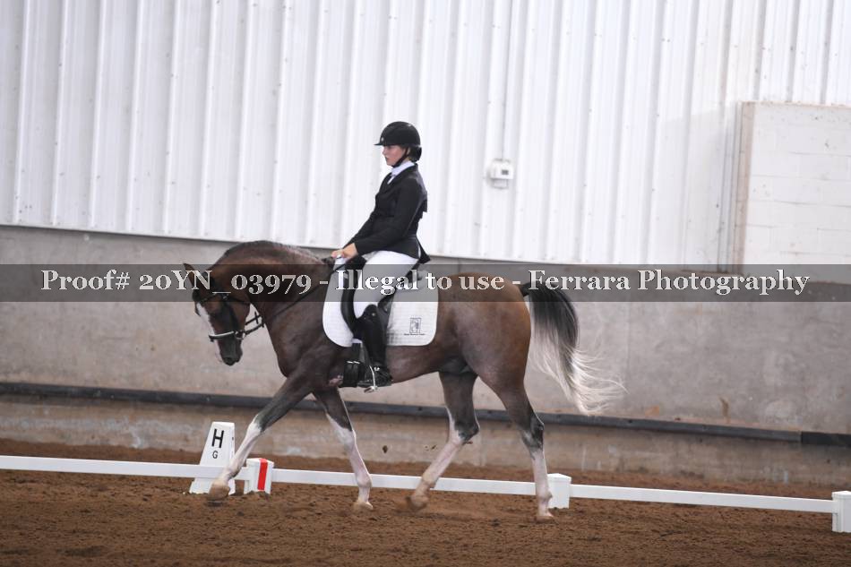 Proof 20YN_03979