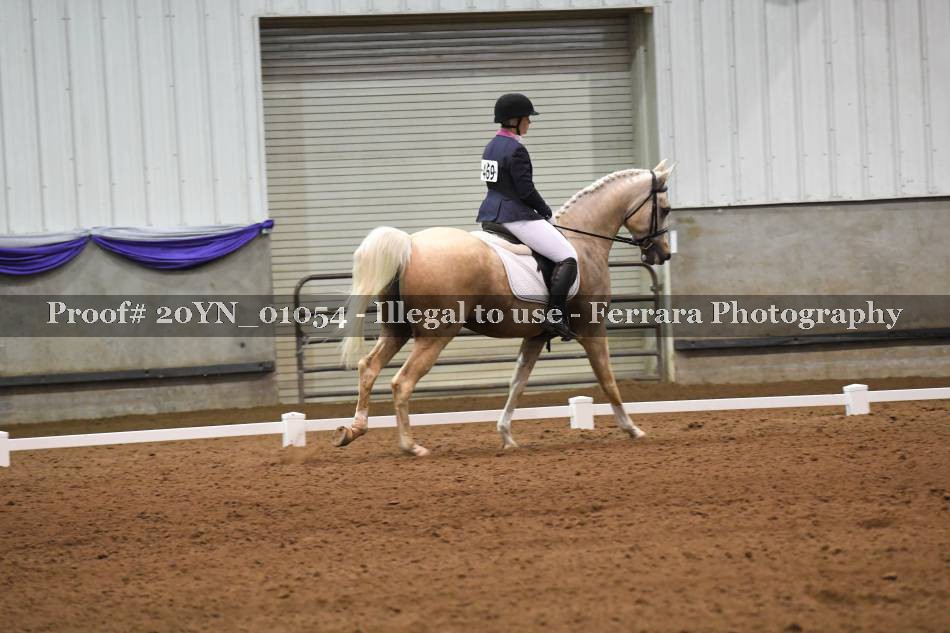Proof 20YN_01054