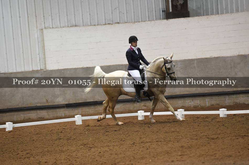 Proof 20YN_01055
