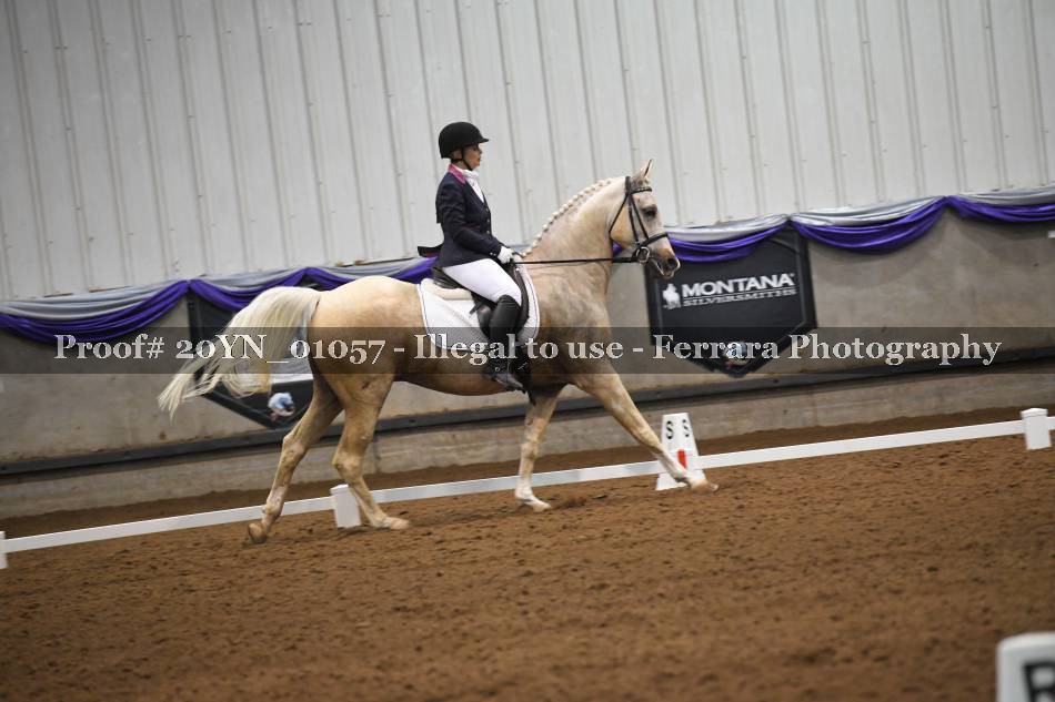 Proof 20YN_01057