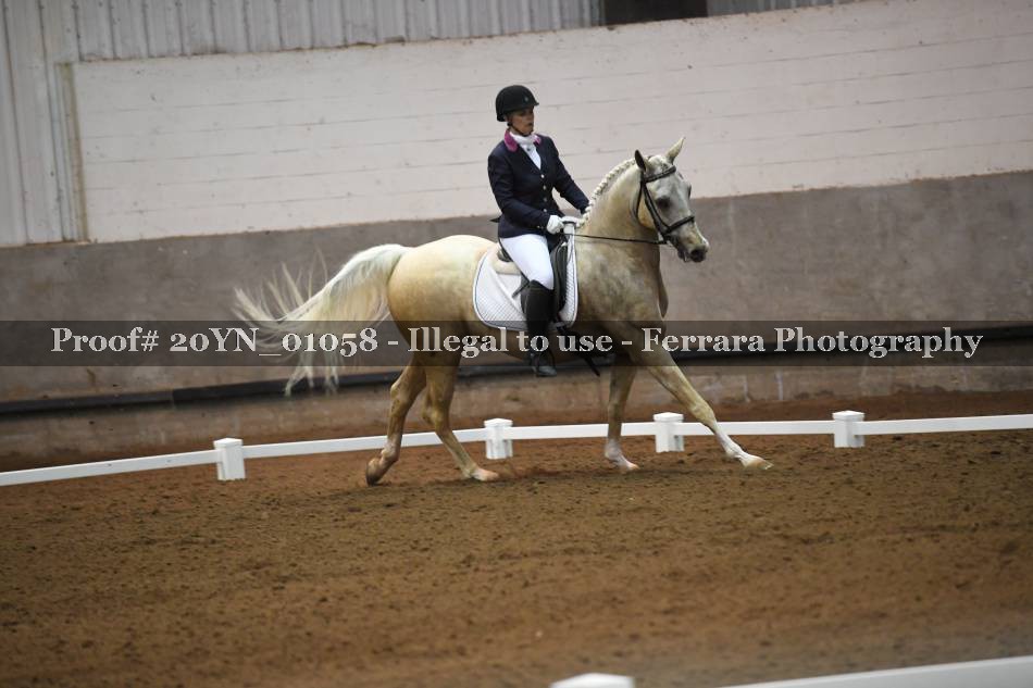 Proof 20YN_01058