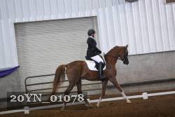 20YN_01078 proof