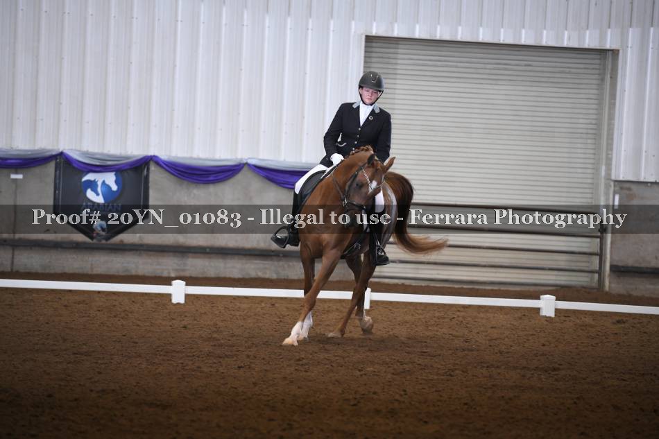 Proof 20YN_01083