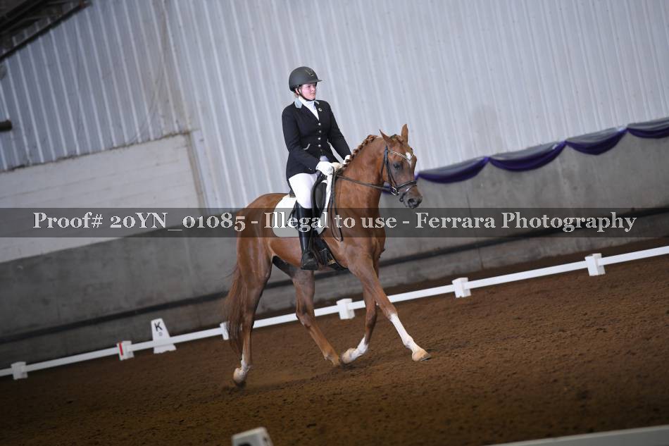 Proof 20YN_01085