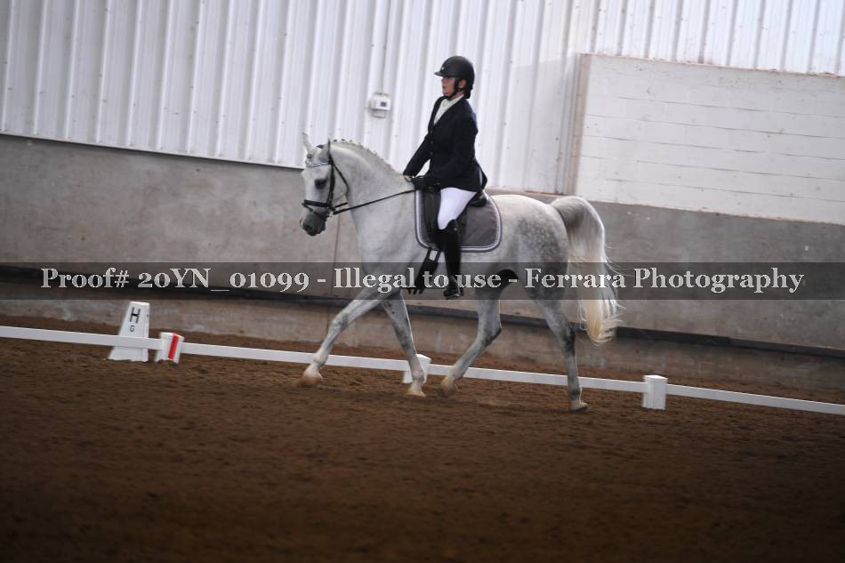 Proof 20YN_01099