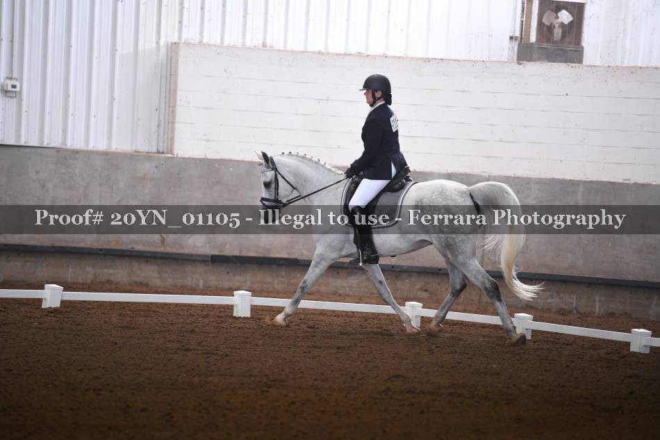 Proof 20YN_01105