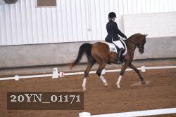 20YN_01171 proof