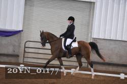 20YN_01177 proof