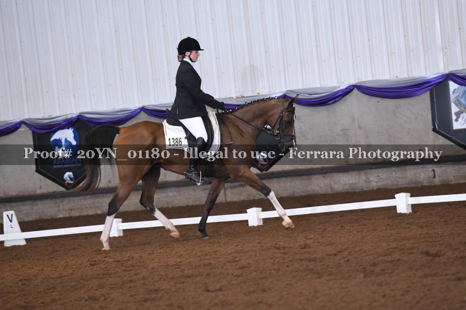 Proof 20YN_01180