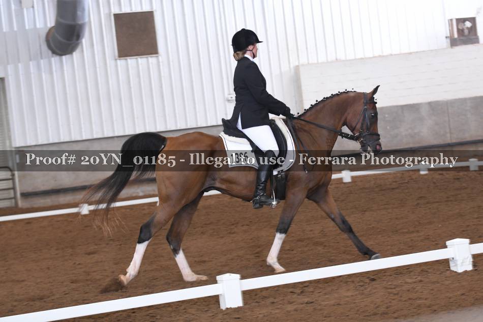 Proof 20YN_01185