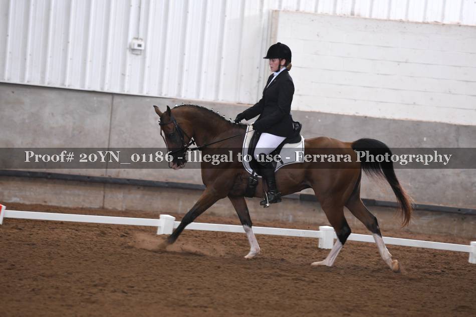 Proof 20YN_01186