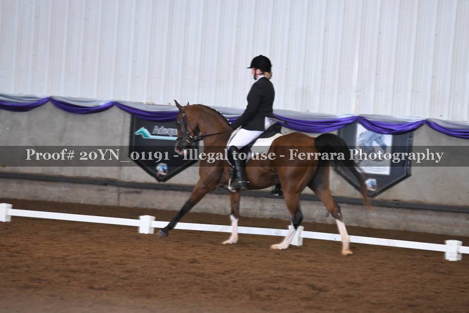 Proof 20YN_01191