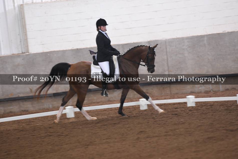 Proof 20YN_01193