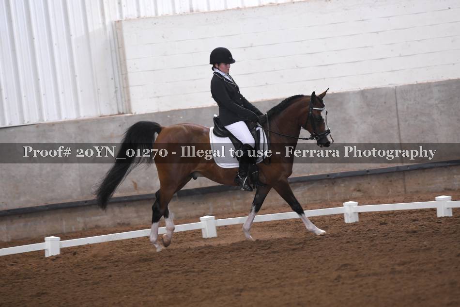Proof 20YN_01270