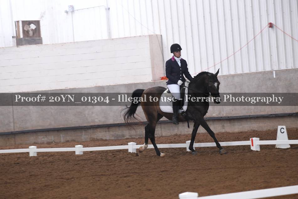 Proof 20YN_01304