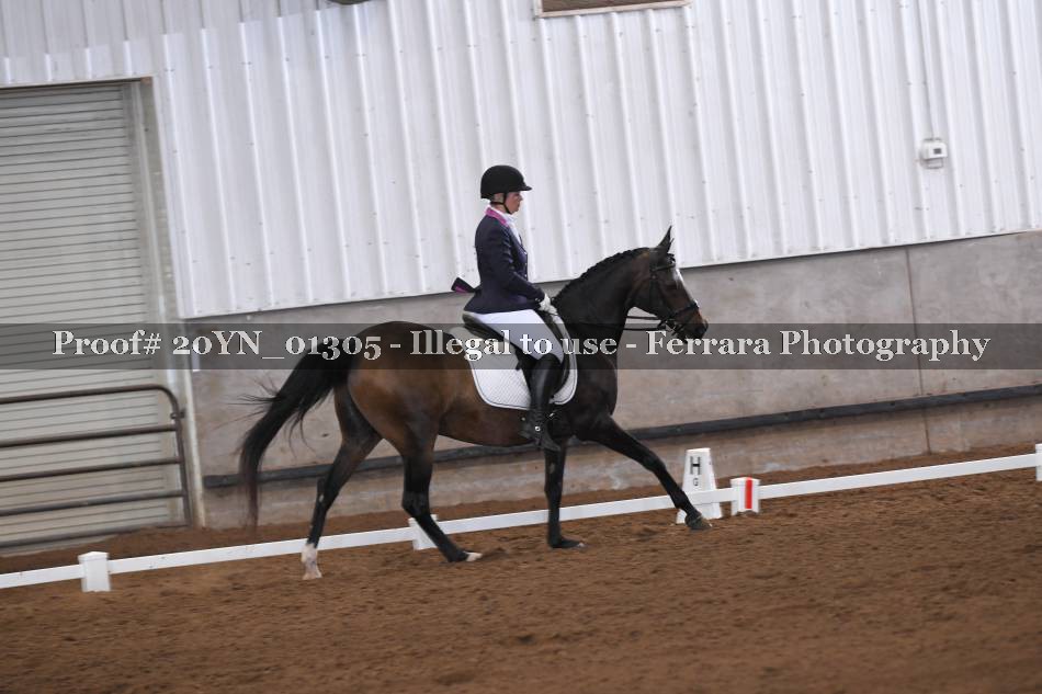 Proof 20YN_01305