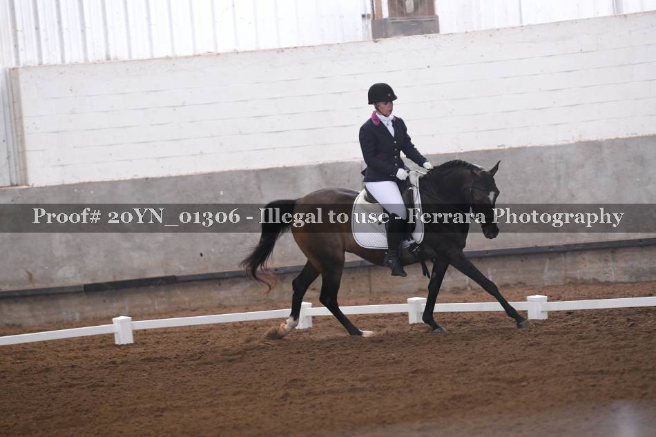 Proof 20YN_01306