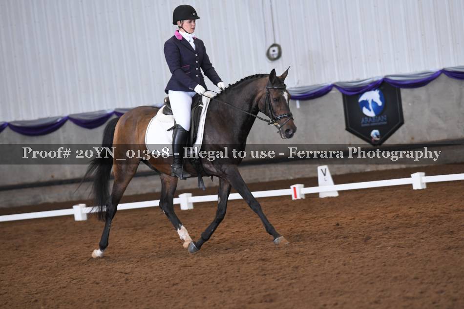 Proof 20YN_01308